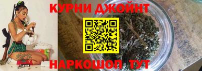гидра Нальчик