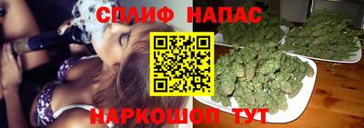 ГАЛЛЮЦИНОГЕННЫЕ ГРИБЫ Нарткала
