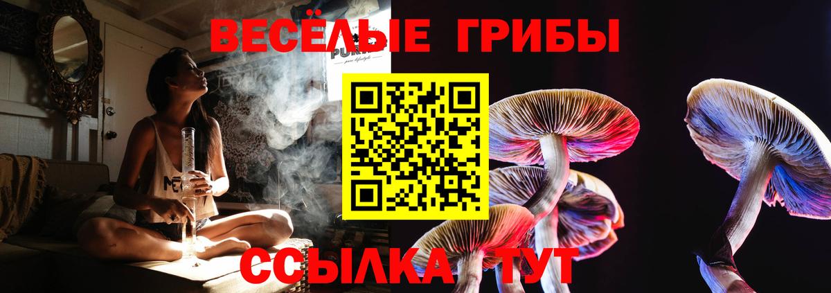 Рубцовск  Галлюциногенные грибы GOLDEN TEACHER  Вход с VPN  Псилоцибиновые грибы MAGIC MUSHROOMS 